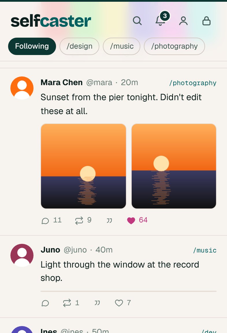 The feed in light mode.